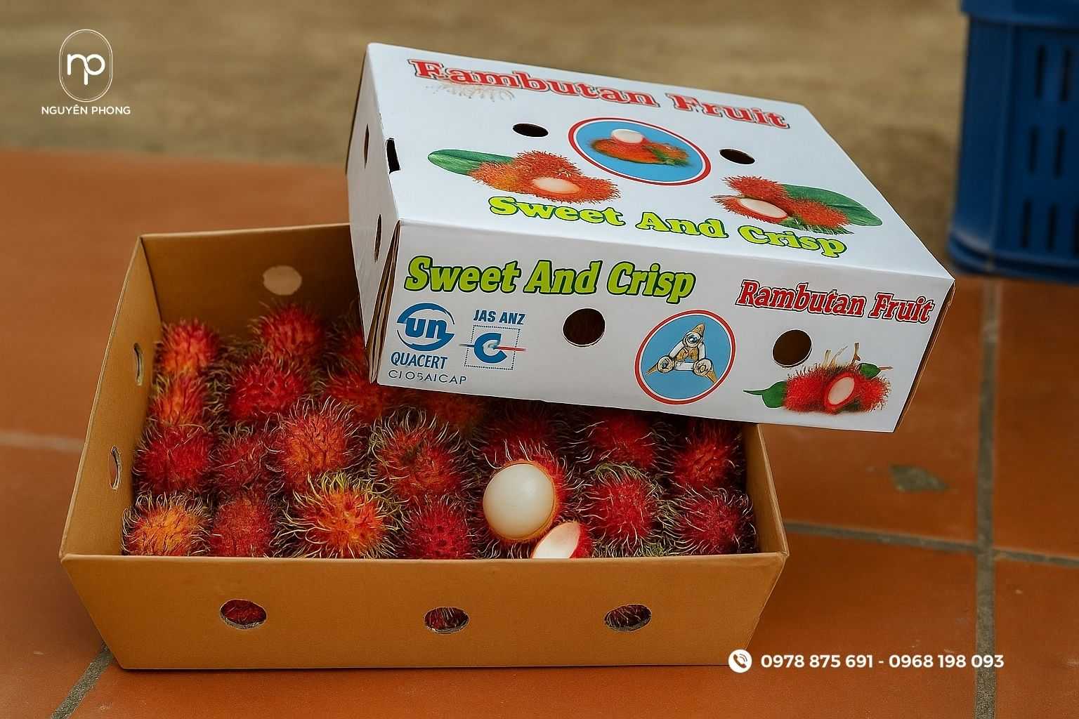 Bảo quản và vận chuyển hộp đúng cách